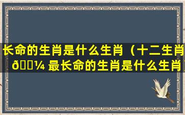 长命的生肖是什么生肖（十二生肖 🌼 最长命的生肖是什么生肖）